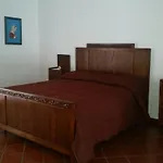 Del Castagneto San Marco Argentano